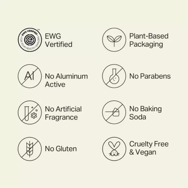 Each Every All Natural Deodorant Aluminum Free Deodorant for Women Men Cedar Vanilla Multipack Travel Size Plant Based Packaging 2 Pack 25 Oz Each 0 2 belly baby and beyond