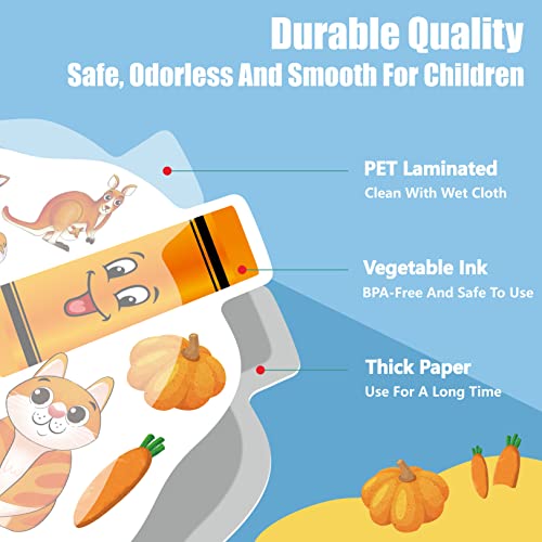 Gethelud 10 PCS Color Posters Color Cutouts Bulletin Board Set Fruit Animal Plant Word Color for Toddler Kid Learning Color Family Classroom Decoration Supplies 12 x 115 0 1 belly baby and beyond