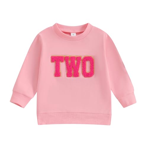 Lamuusaa Toddler Baby Girl Boy Birthday Outfit OneTwoThreeFourFiveSix Embroidery Sweatshirt Shirts Birthday Gift 0 belly baby and beyond