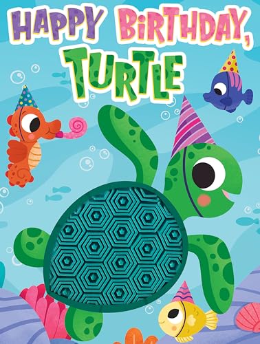Little Hippo Books Happy Birthday Turtle I Ocean Childrens Books Ages 1 3 Touch and Feel Books for Toddlers 1 3 Baby Books Best Kids Books and Childrens Books and Sensory Books Board book October 13 0 belly baby and beyond