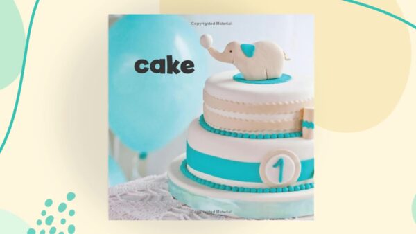 My First Birthday Board book Picture Book March 7 2017 0 0 belly baby and beyond