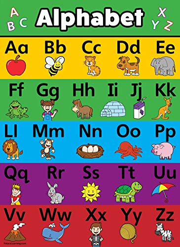 Palace Curriculum ABC Alphabet Poster Chart LAMINATED 18 x 24 Double Sided 0 belly baby and beyond