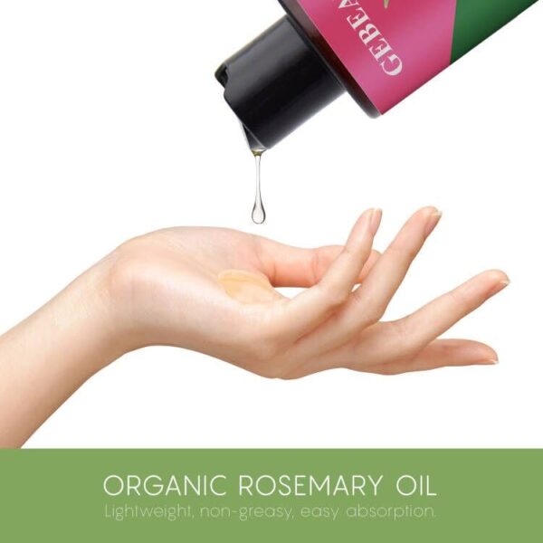 Rosemary Oil for Hair Growth Organic 88 floz Essential Oil for Scalp Eyebrow and Eyelash Hair Growth Oil Serum for Women Men Hair Strenghtening Treatment With Jojoba Oil Castor Oil 0 4 belly baby and beyond