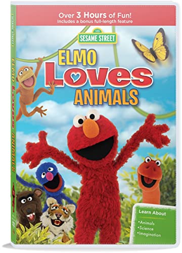 Sesame Street Elmo Loves Animals DVD 0 belly baby and beyond