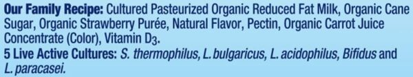Stonyfield Organic Kids Lowfat Yogurt Pouches 35 oz Each Ct Includes Live Active Cultures Strawberry 14 Ounce Pack of 4 0 3 belly baby and beyond