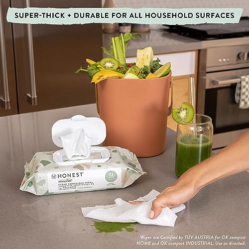 The Honest Company Clean Conscious Unscented Wipes Over 99 Water Compostable Plant Based Baby Wipes Hypoallergenic for Sensitive Skin EWG Verified Pattern Play 60 Count 0 0 belly baby and beyond