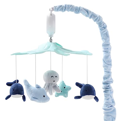 Room Accessories