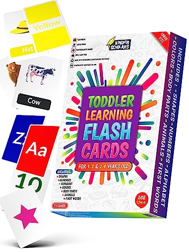 Thick Rip Proof Waterproof Flash Cards for Toddlers Ages 1234 Years ABC Alphabet Colors Shapes Numbers Animals Body Parts 150 Images for Preschool Learning Phonics by Kinder Scholars 0 belly baby and beyond
